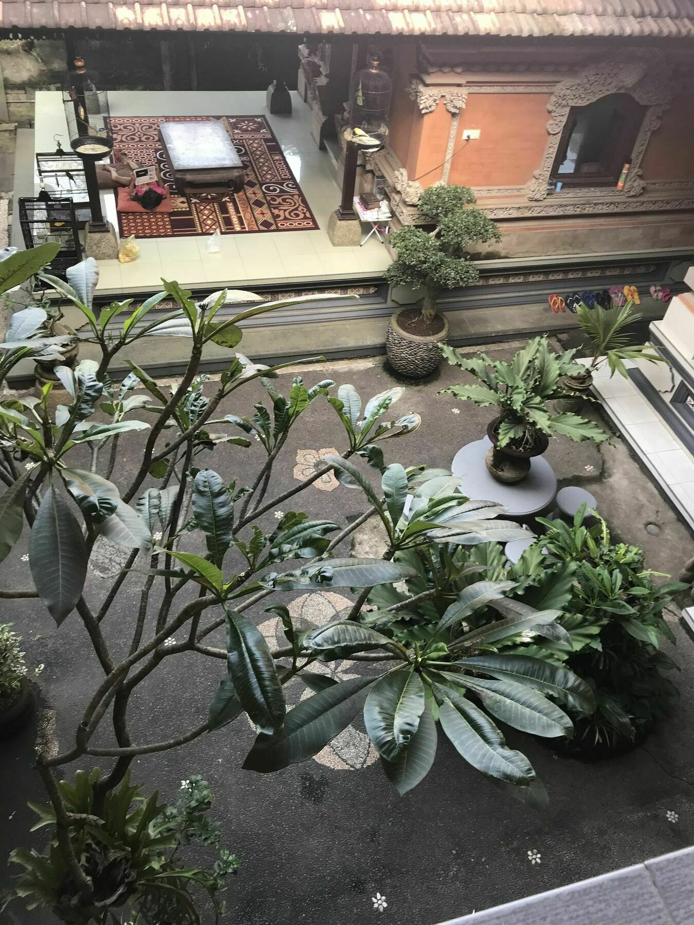 Kacu Ubud Inn Luaran gambar